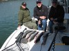 (04/20/2018) - Nice Striped Bass